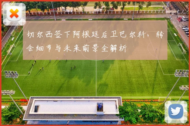 切尔西签下阿根廷后卫巴尔科，转会细节与未来前景全解析