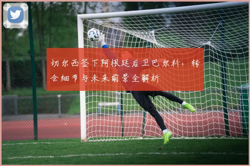 切尔西签下阿根廷后卫巴尔科，转会细节与未来前景全解析